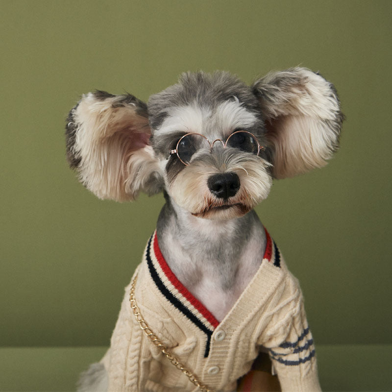KFX-8894653 Trendy Wool Cardigan Sweater for Dogs - Autumn and Winter Fashion in Dark Gray and Apricot