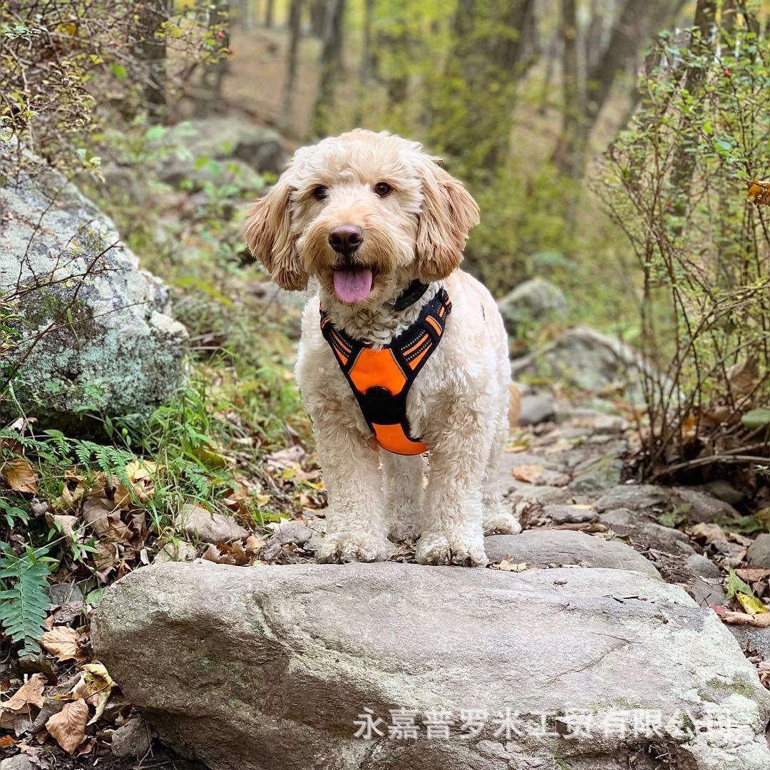 KFX-8901693 Reflective Explosion-Proof Dog Harness for All Breeds - Oxford Cloth, Mesh, and EVA