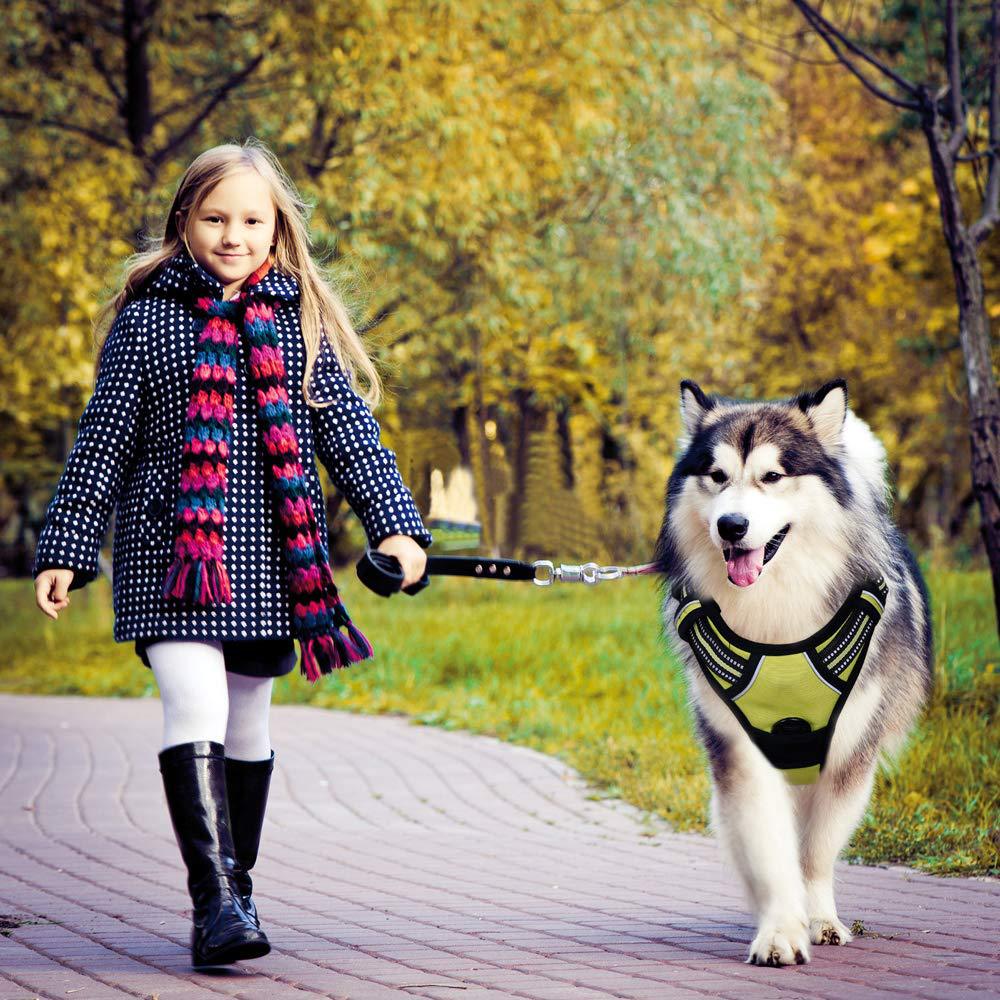 KFX-8901693 Reflective Explosion-Proof Dog Harness for All Breeds - Oxford Cloth, Mesh, and EVA
