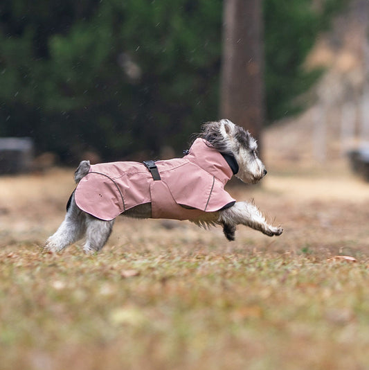 KFX-8902077 Waterproof Poncho for Small and Medium-Sized Dogs in Multiple Colors and Sizes