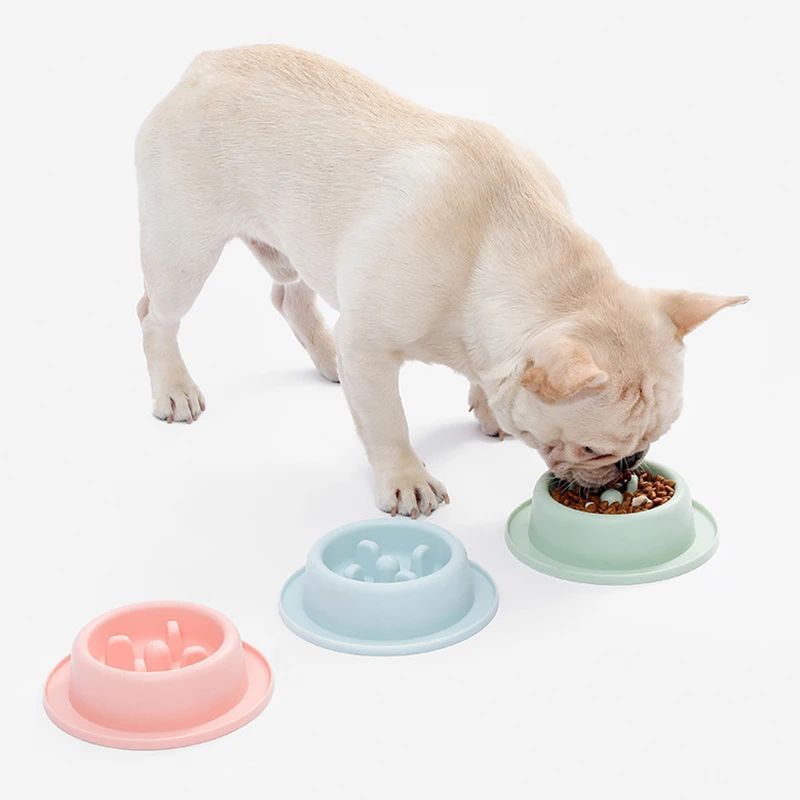 KFX-8902589 Slow Feed Dog Bowl for Cats and Dogs - Anti-Choking Interactive Feeding Dish in Macaroon Colors