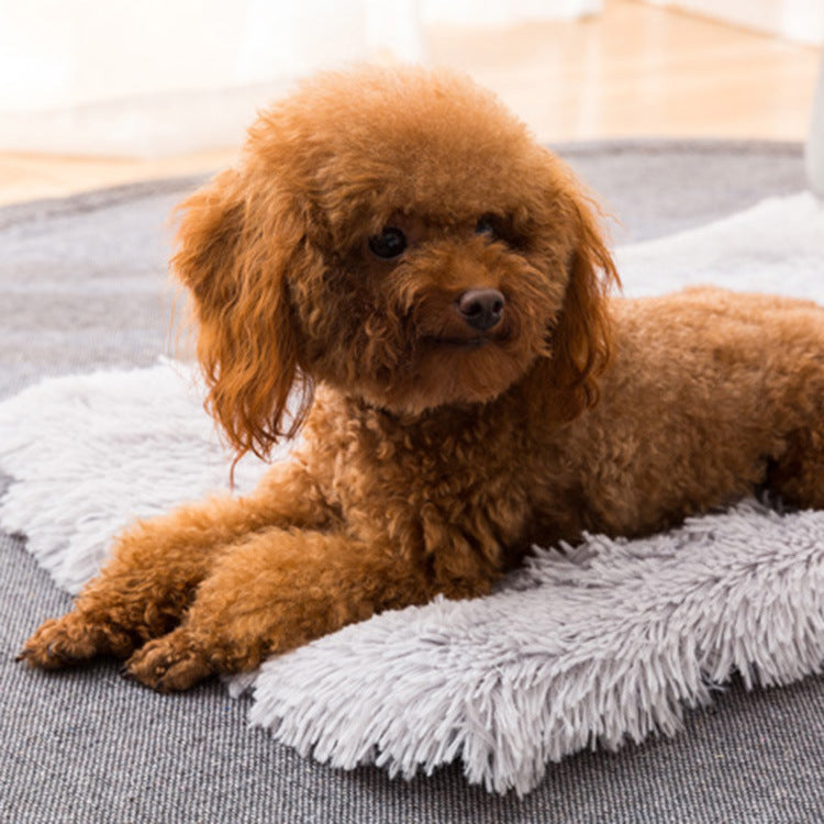 KFX-8906429 Soft Plush Pet Nest Bed – Anti-Slip, Waterproof, Multiple Sizes Available
