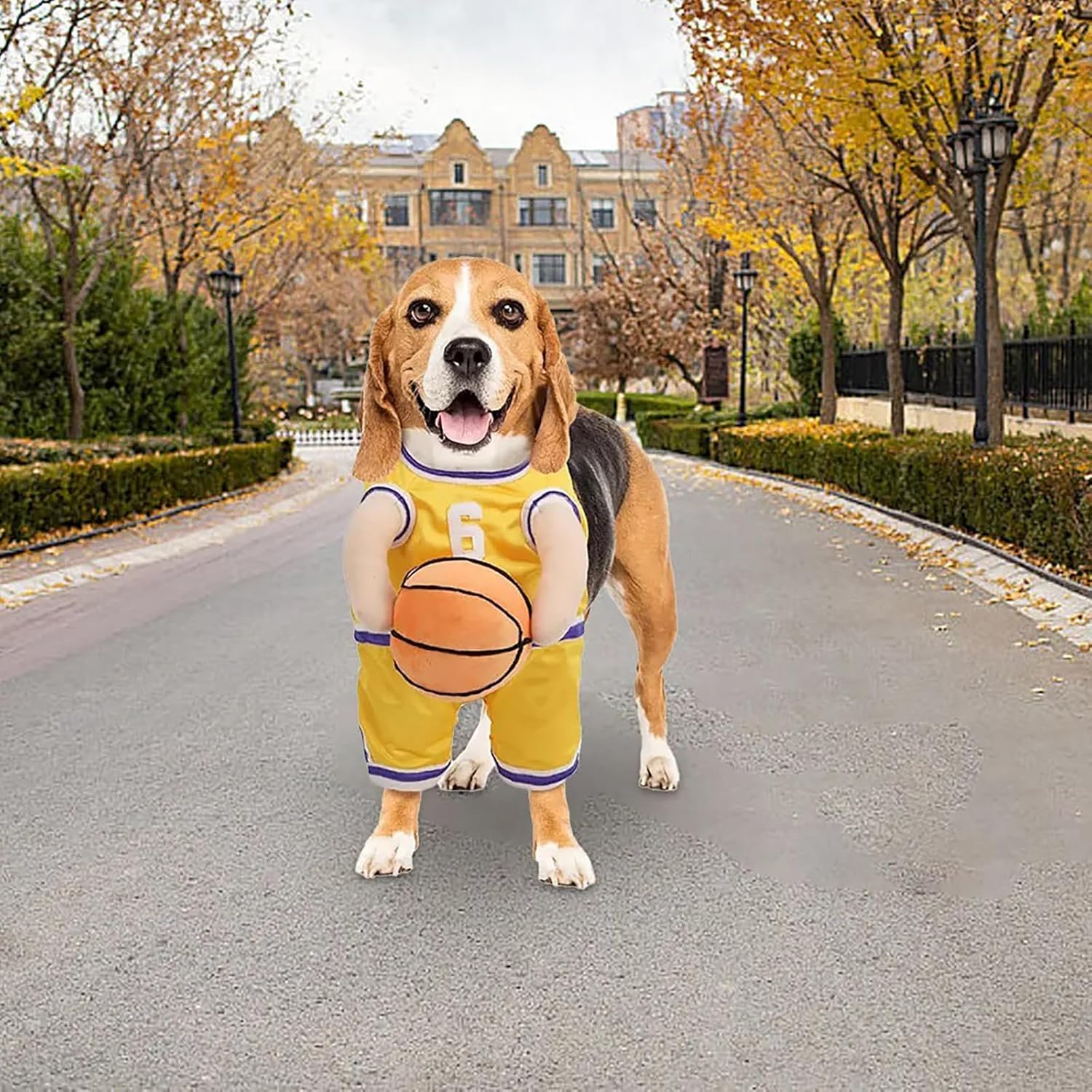 KFX-8912317 Dog Basketball Player Costume for Small to Medium Dogs – Funny Sports Outfit for Halloween and Parties