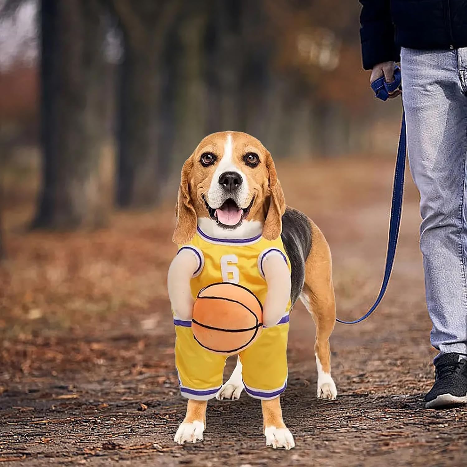 KFX-8912317 Dog Basketball Player Costume for Small to Medium Dogs – Funny Sports Outfit for Halloween and Parties