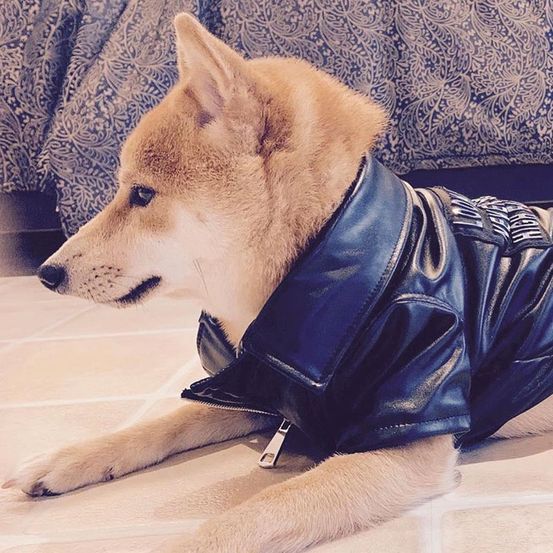 KFX-8914493 Stylish PU Leather Jacket for Male Shiba Inu - European and American Design
