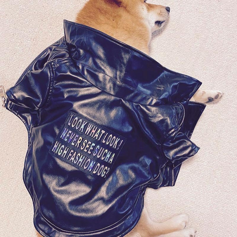 KFX-8914493 Stylish PU Leather Jacket for Male Shiba Inu - European and American Design