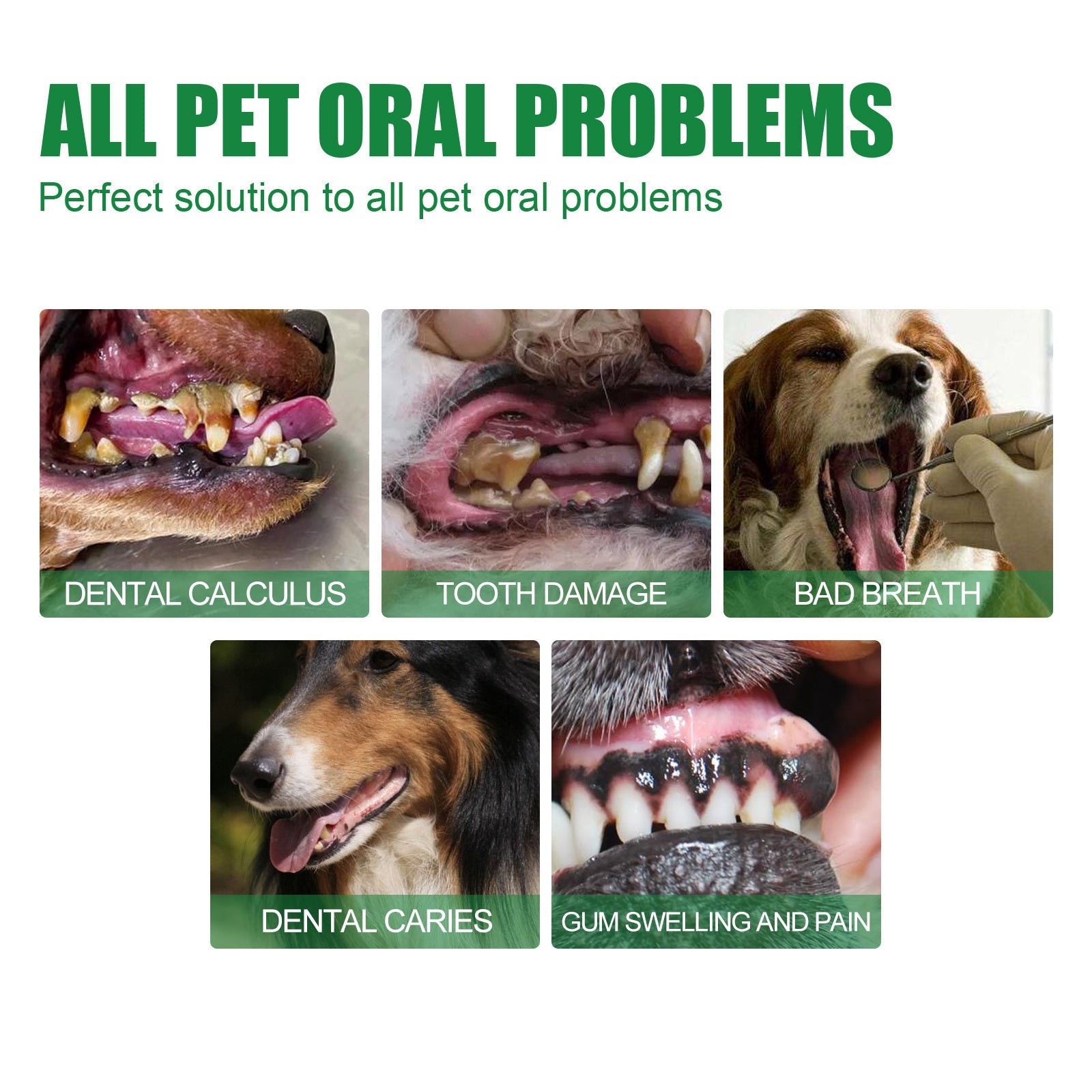 KFX-8915773 Pet Teeth Deodorant Spray for Halitosis Removal and Oral Cleaning - 30ml