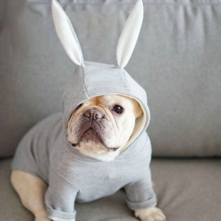 KFX-8933181 Knitted Sweater with Rabbit Ears for Small Dogs - Wool Material