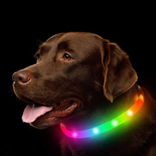 KFX-8937149 Luminous Silicone Pet Collar in Multiple Colors and Sizes