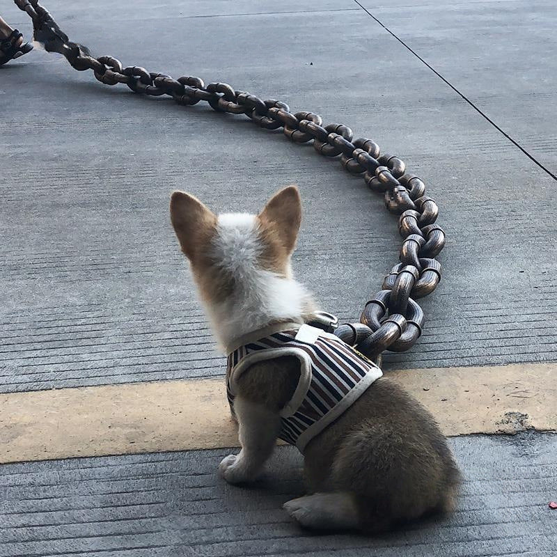 KFX-8940733 Durable Thick Dog Leash with Iron Chain and Various Connection Options