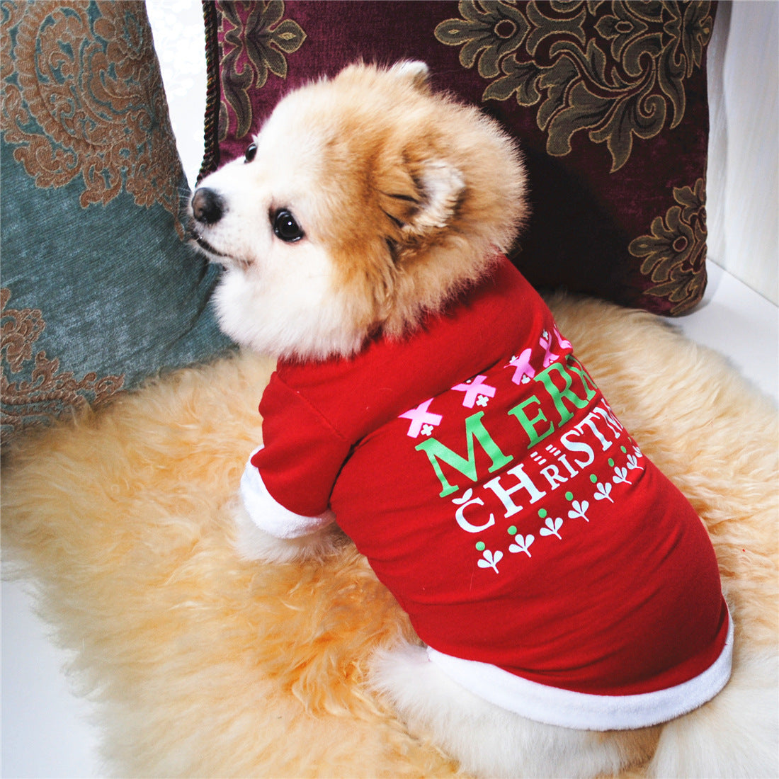 KFX-8945981 Christmas Dog Holiday Dress with Hairy Border in Cotton Terry Fabric