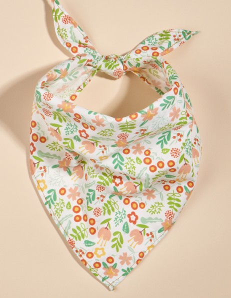 KFX-8954045 Fruit Green Leaf Cotton Pet Scarf and Drool Towel for Small to Large Dogs and Cats