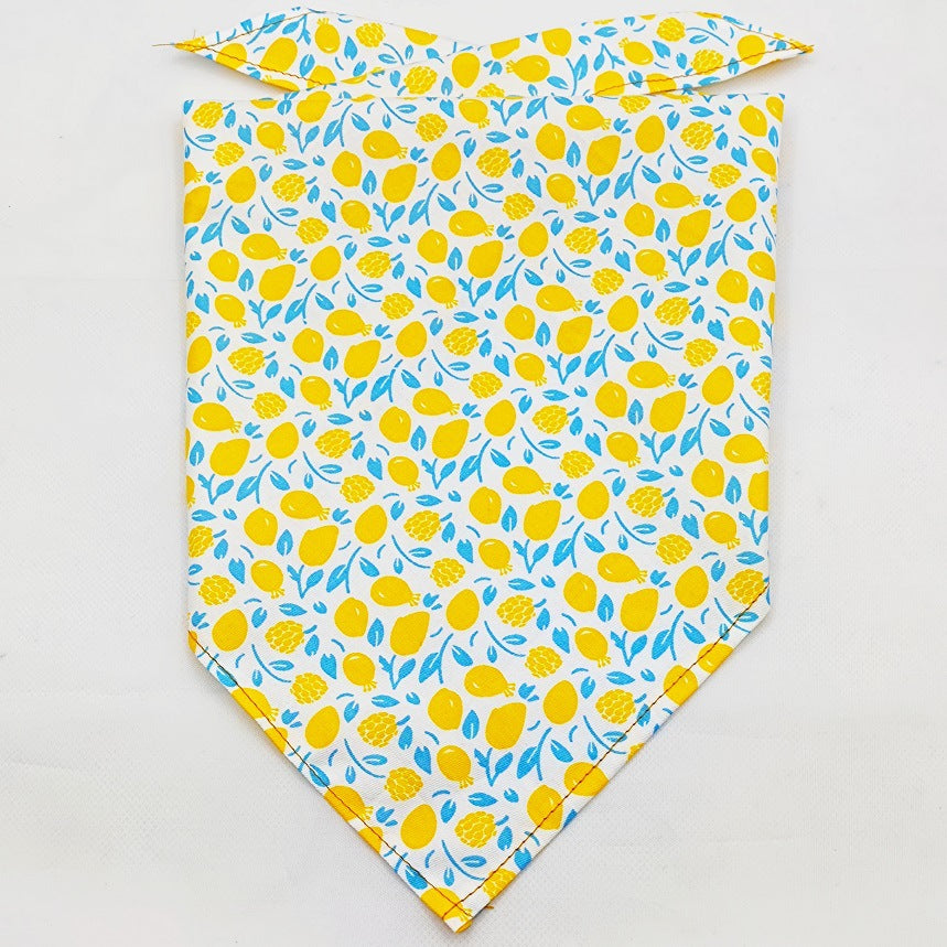 KFX-8954045 Fruit Green Leaf Cotton Pet Scarf and Drool Towel for Small to Large Dogs and Cats