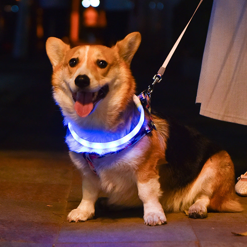 KFX-8954429 Rechargeable Colorful LED Dog Collar and Leash - Silicone Pet Accessories for All Seasons