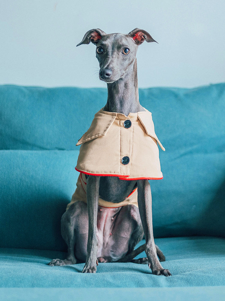 KFX-8954813 Cotton British Style Pet Overcoat for Dogs in Multiple Sizes