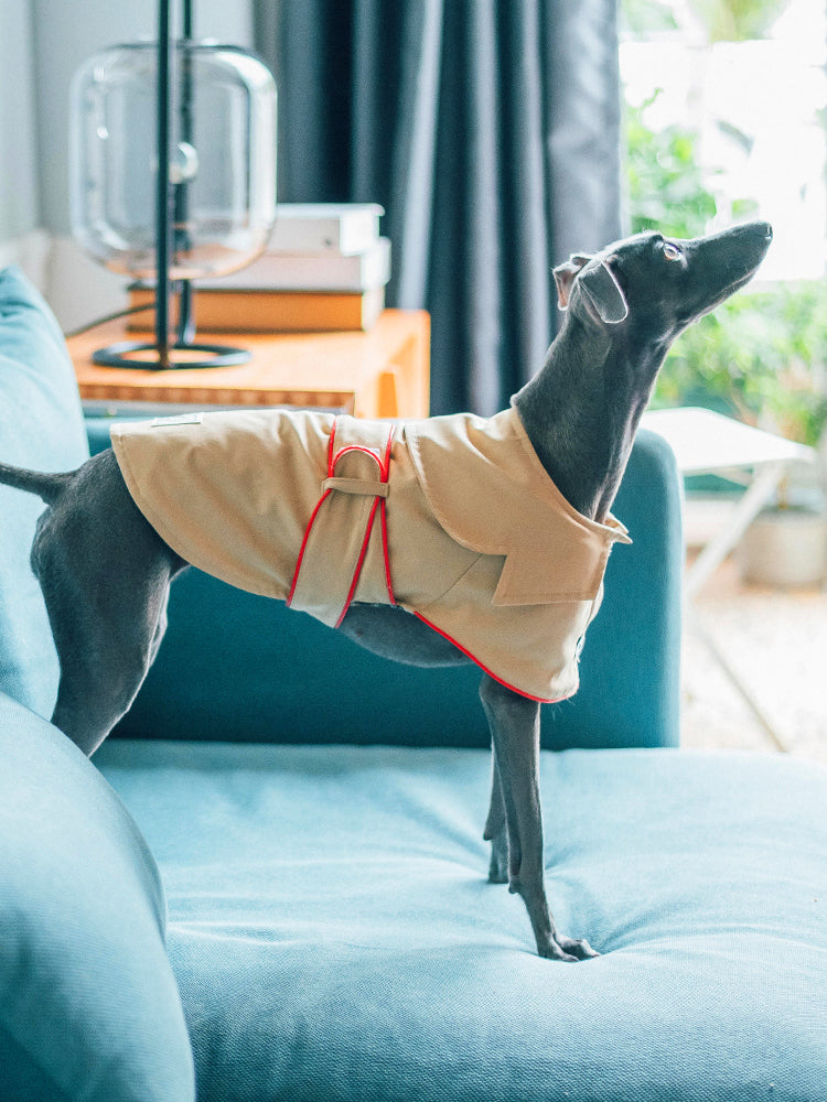 KFX-8954813 Cotton British Style Pet Overcoat for Dogs in Multiple Sizes