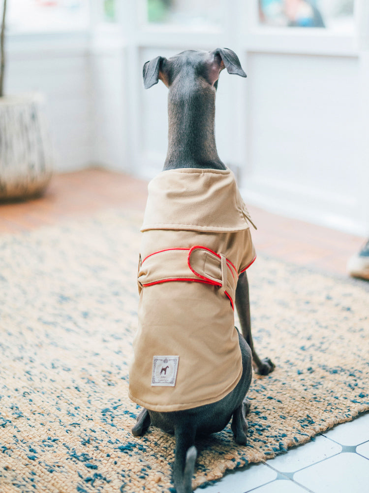 KFX-8954813 Cotton British Style Pet Overcoat for Dogs in Multiple Sizes