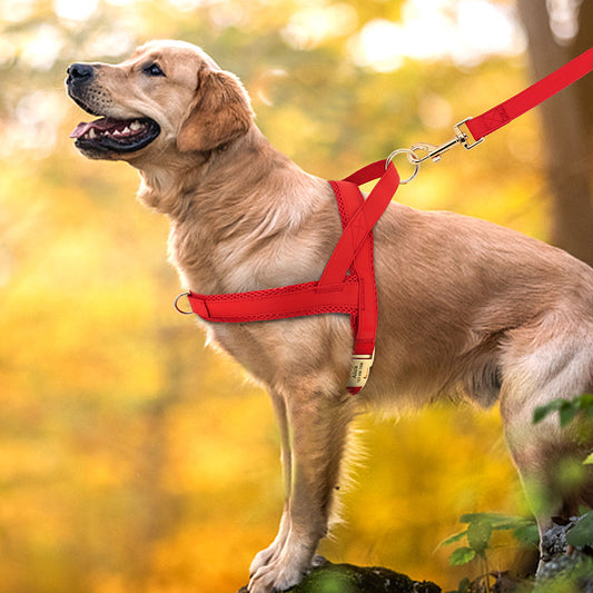 KFX-8958269 Personalized Nylon Dog Harness and Leash Set with Bow Tie - Available in Multiple Sizes