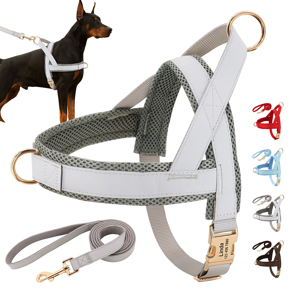 KFX-8958269 Personalized Nylon Dog Harness and Leash Set with Bow Tie - Available in Multiple Sizes