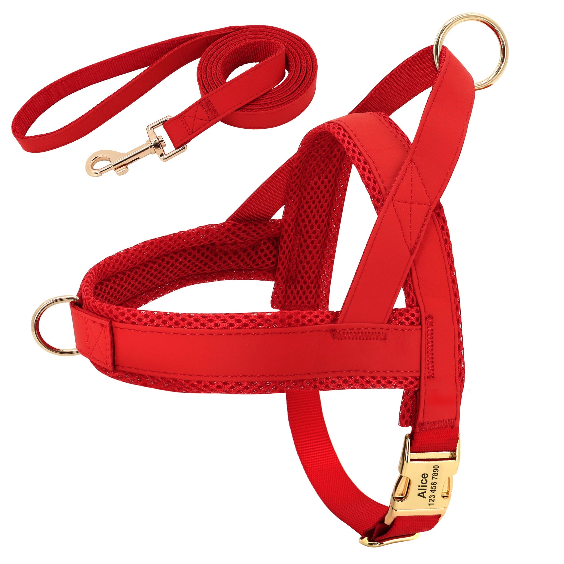 KFX-8958269 Personalized Nylon Dog Harness and Leash Set with Bow Tie - Available in Multiple Sizes