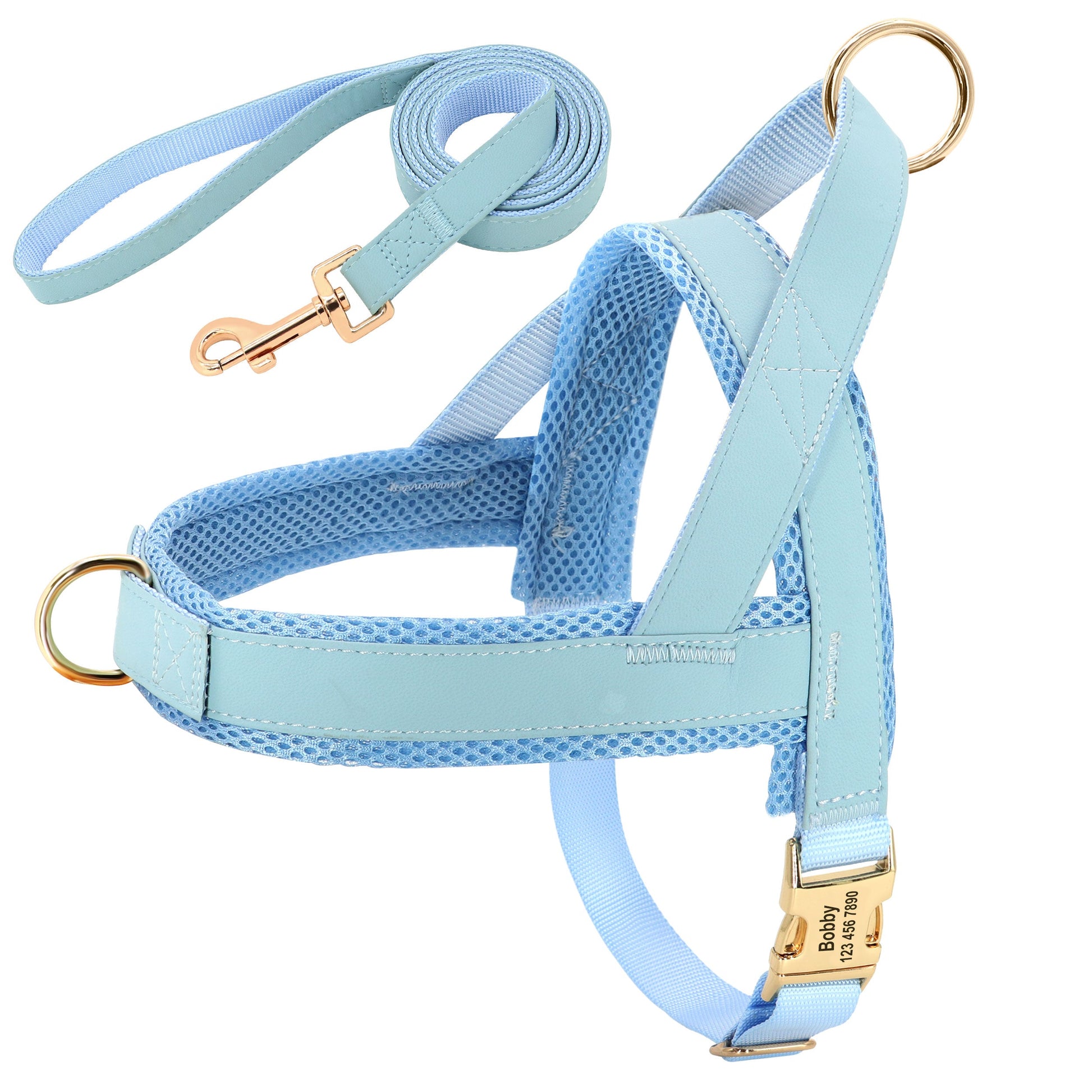 KFX-8958269 Personalized Nylon Dog Harness and Leash Set with Bow Tie - Available in Multiple Sizes