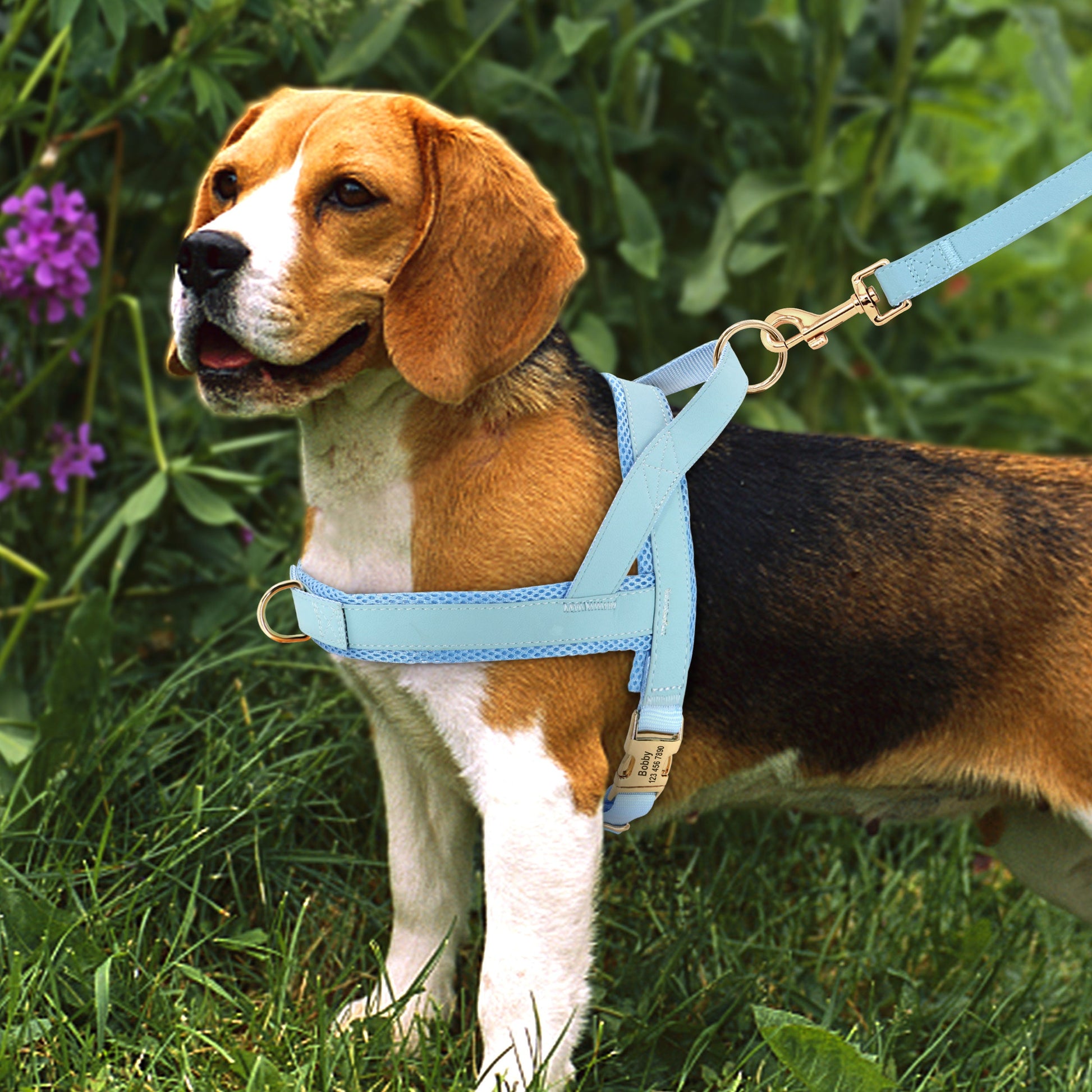 KFX-8958269 Personalized Nylon Dog Harness and Leash Set with Bow Tie - Available in Multiple Sizes