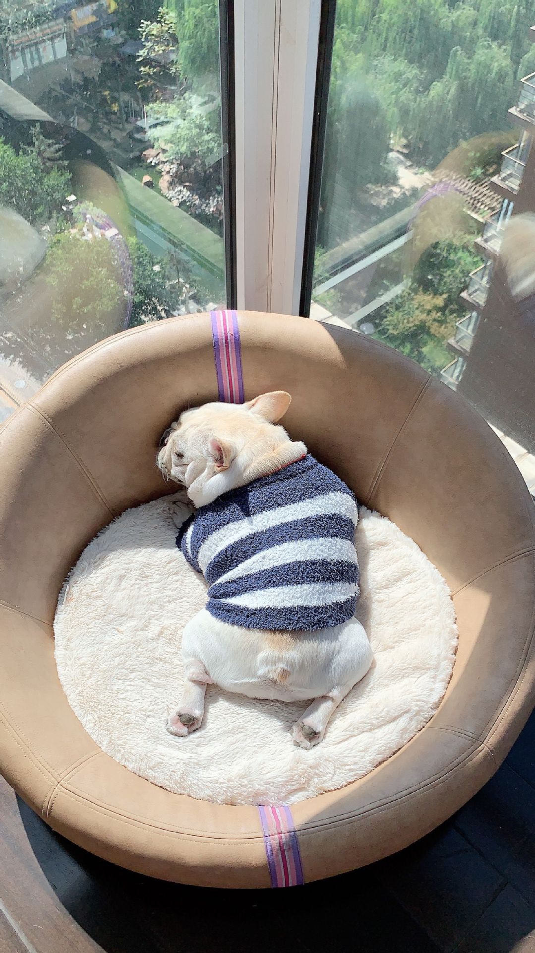 KFX-8960189 Soft Striped Casual Sweater for Pets - Multiple Sizes Available