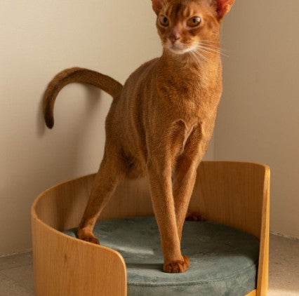 KFX-8962237 Solid Wood Cat Bed – Removable Nest in Walnut Finish, 35x24cm & 50x24cm Sizes