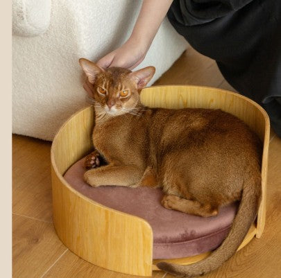 KFX-8962237 Solid Wood Cat Bed – Removable Nest in Walnut Finish, 35x24cm & 50x24cm Sizes