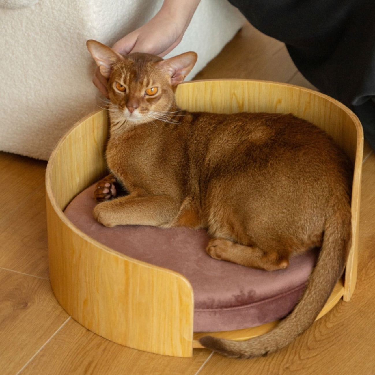 KFX-8962237 Solid Wood Cat Bed – Removable Nest in Walnut Finish, 35x24cm & 50x24cm Sizes