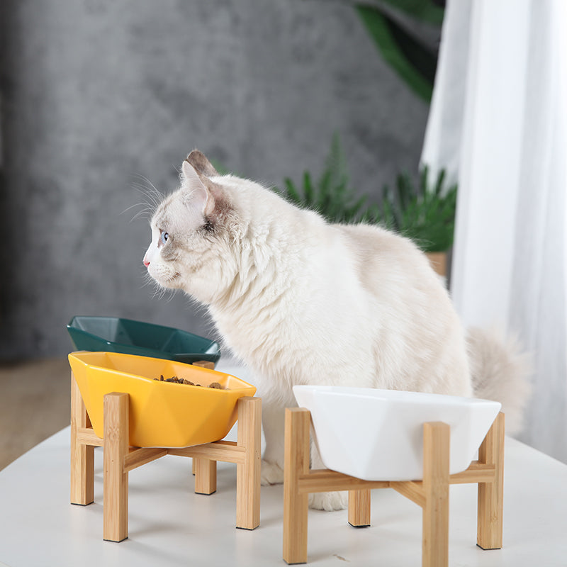 KFX-8968125 Ceramic High-Footed Cat Food Bowl with Bamboo Wood Base, 250g Capacity