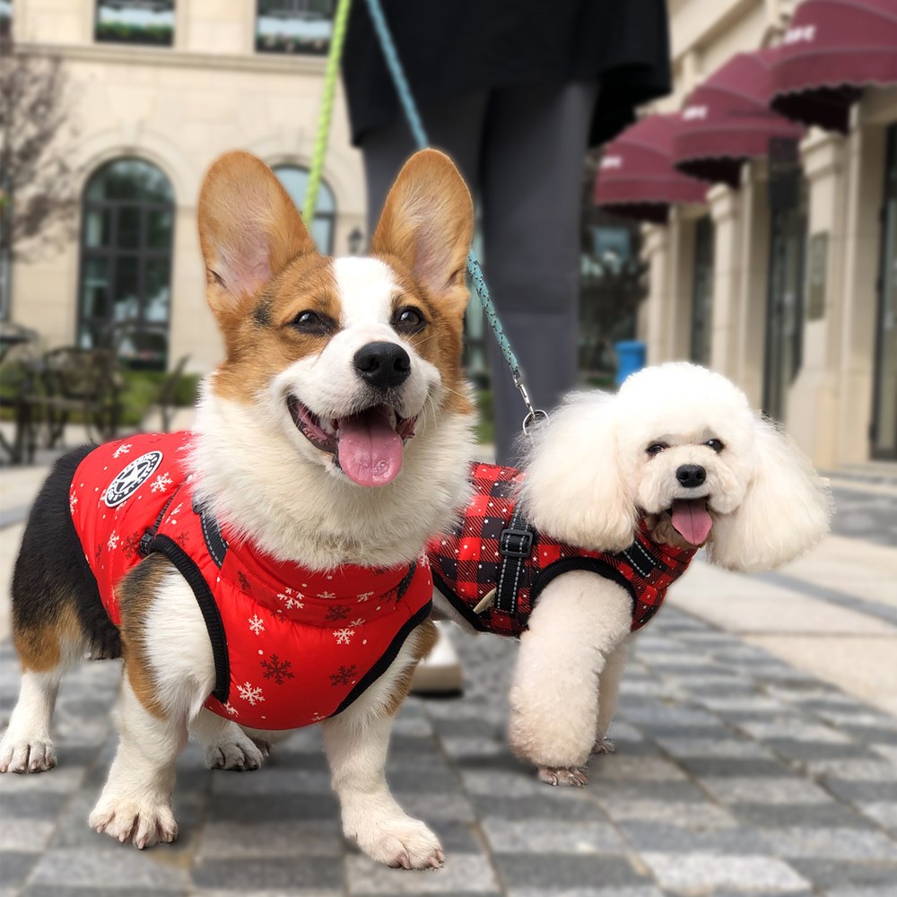KFX-8978109 Warm Waterproof Reflective Pet Clothing for Autumn and Winter - Cotton Dog Vest in Snowflake and Plaid Patterns