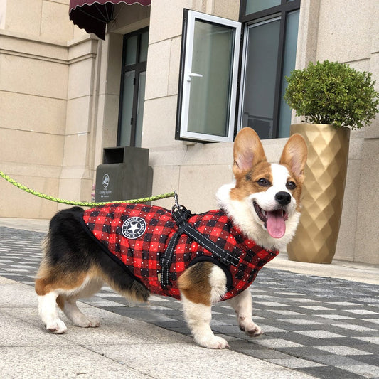 KFX-8978109 Warm Waterproof Reflective Pet Clothing for Autumn and Winter - Cotton Dog Vest in Snowflake and Plaid Patterns