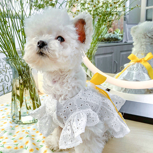 KFX-8980029 Daisy Flower Princess Dog Skirt with Hollow Bow, Polyester, Size XS-XL