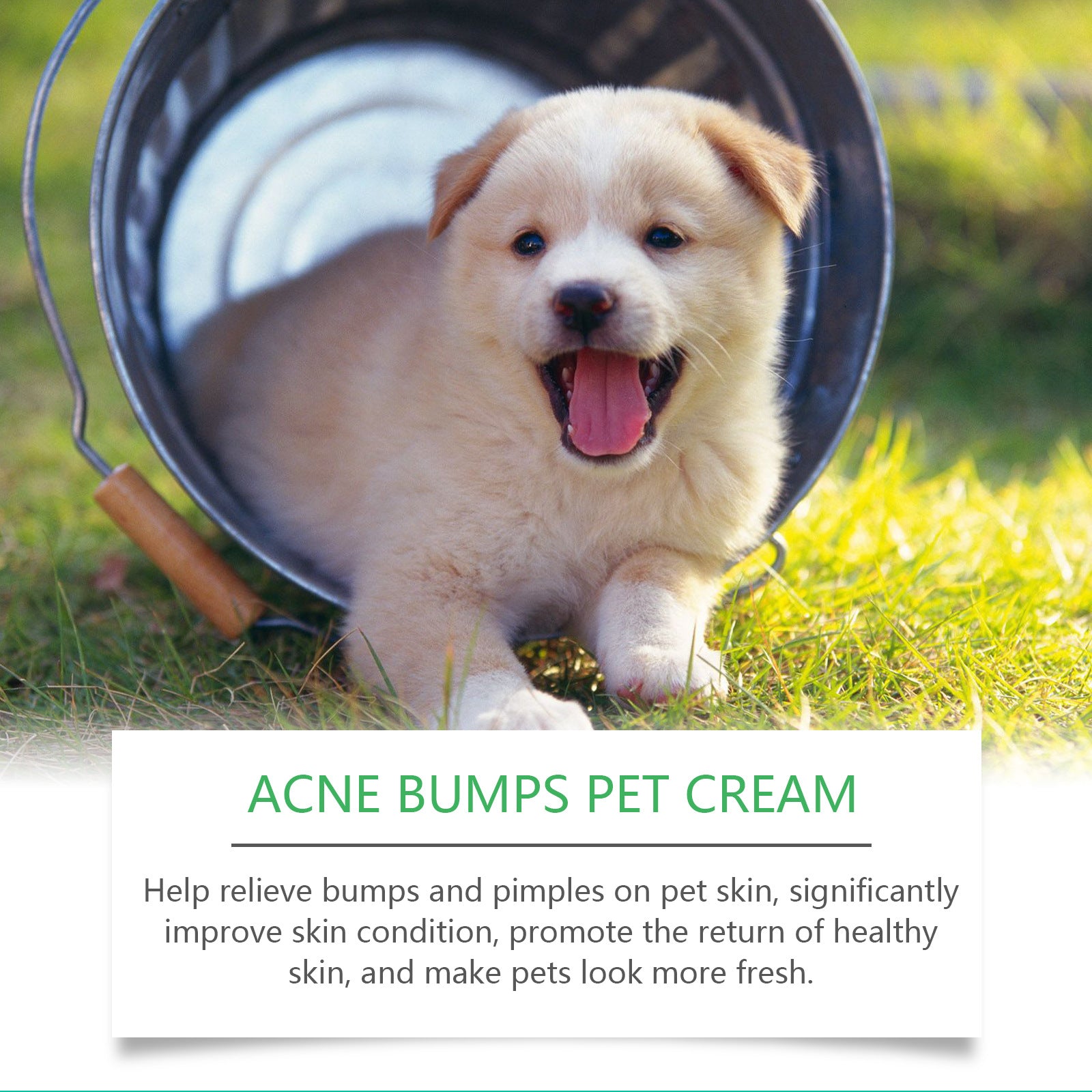 KFX-8981309 Pet Neck Cream for Healthy Skin and Coat, 25g with Aloe, Ginger, Tea Tree Oil, Marigold, and Ganoderma Extract