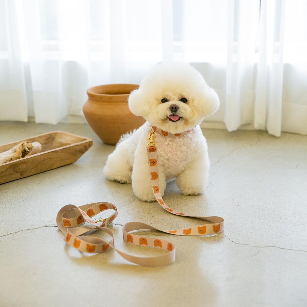 KFX-8983229 Soft and Durable Polyester Dog Traction Rope with Bear Design - 2M by 2.5cm