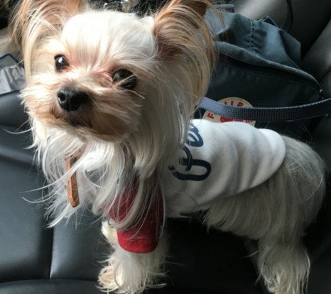 KFX-8984509 Stylish Dog Sweatshirt with Embroidery in Peace Red and Blue Sleeves