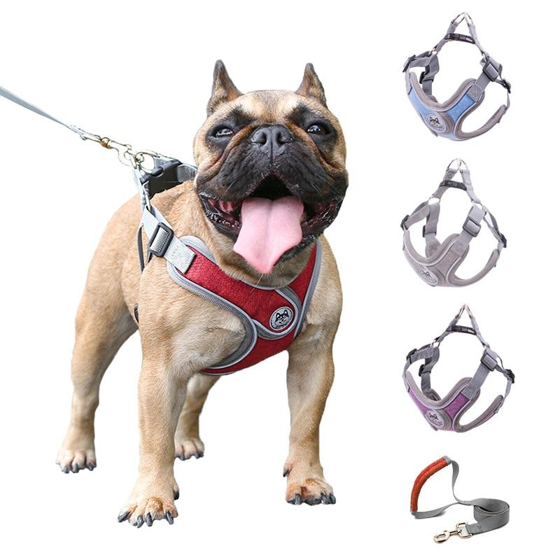 KFX-8988477 Nylon PET Strap Collars and Traction Rope for Small to Medium Dogs