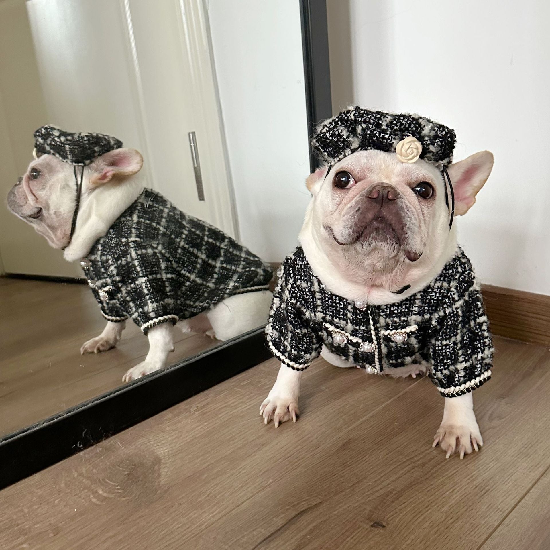 KFX-8989757 Cotton Pet Winter Coat with Hat for Dogs and Cats in Black and Red