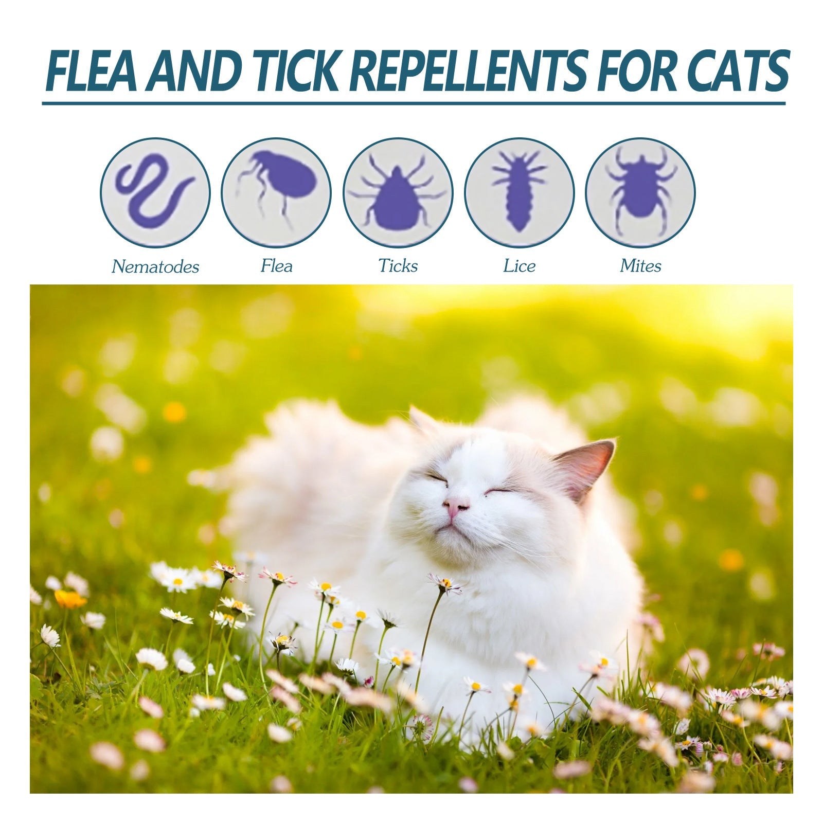 KFX-8996541 Pet Anti-Flea and Tick Solution - 50ml with Natural Oils for Cats