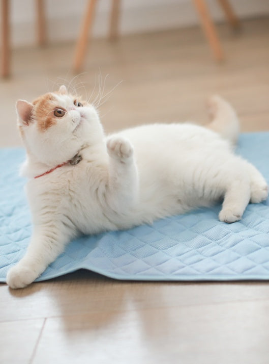 KFX-9008317 Cooling Ice Silk Pet Pad - Comfortable, Breathable Cushion for Dogs in S/M/L Sizes