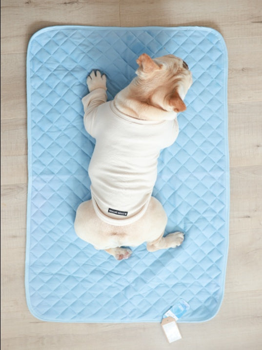 KFX-9008317 Cooling Ice Silk Pet Pad - Comfortable, Breathable Cushion for Dogs in S/M/L Sizes