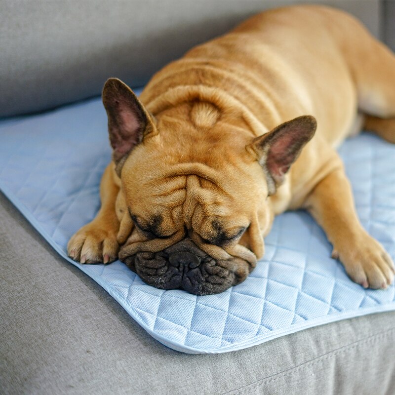 KFX-9008317 Cooling Ice Silk Pet Pad - Comfortable, Breathable Cushion for Dogs in S/M/L Sizes