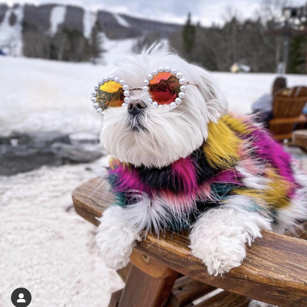 KFX-9011261 Pet Sunglasses for Cats and Dogs - Stylish Plastic Eye Protection in Small and Large Sizes