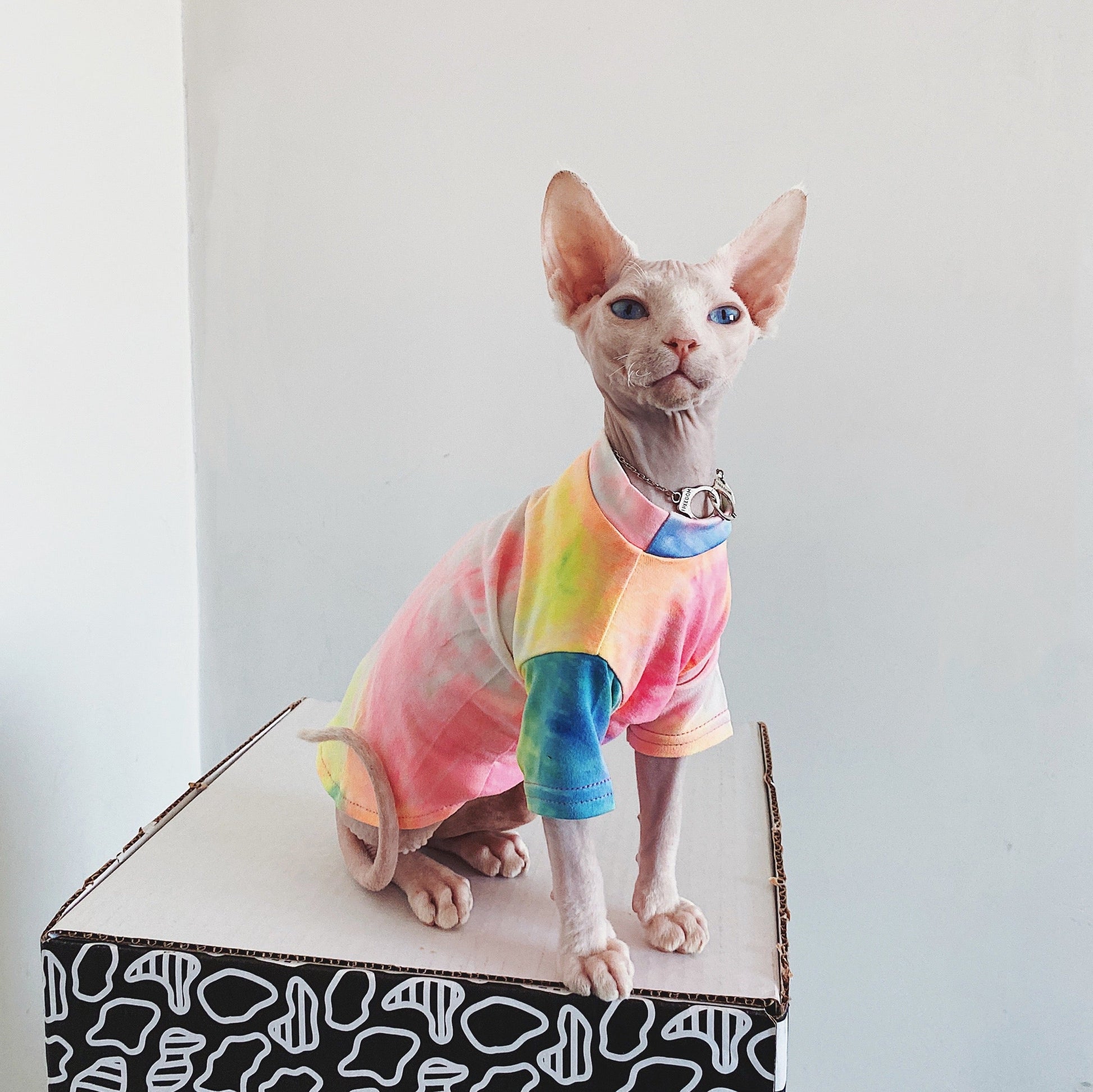 KFX-9012029 Casual Tie-Dye Rainbow Vest for Hairless Cats - Cotton Pet Clothes
