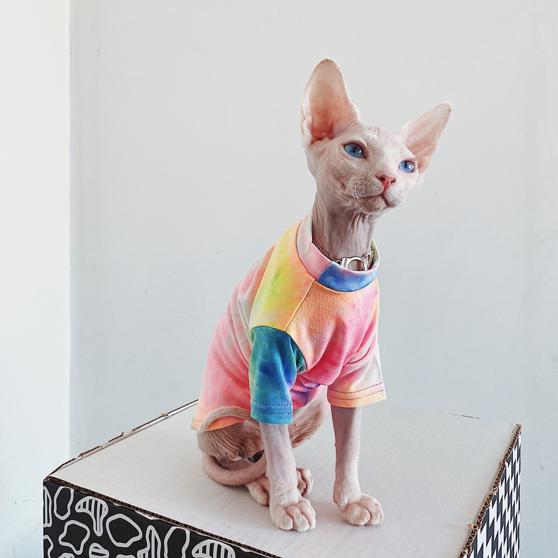 KFX-9012029 Casual Tie-Dye Rainbow Vest for Hairless Cats - Cotton Pet Clothes