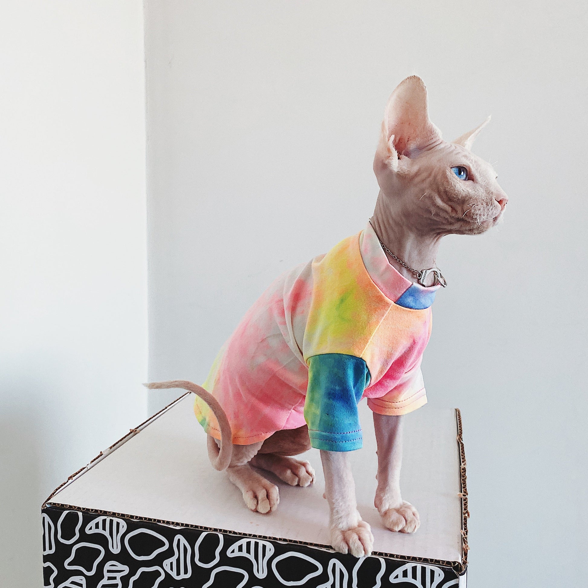 KFX-9012029 Casual Tie-Dye Rainbow Vest for Hairless Cats - Cotton Pet Clothes