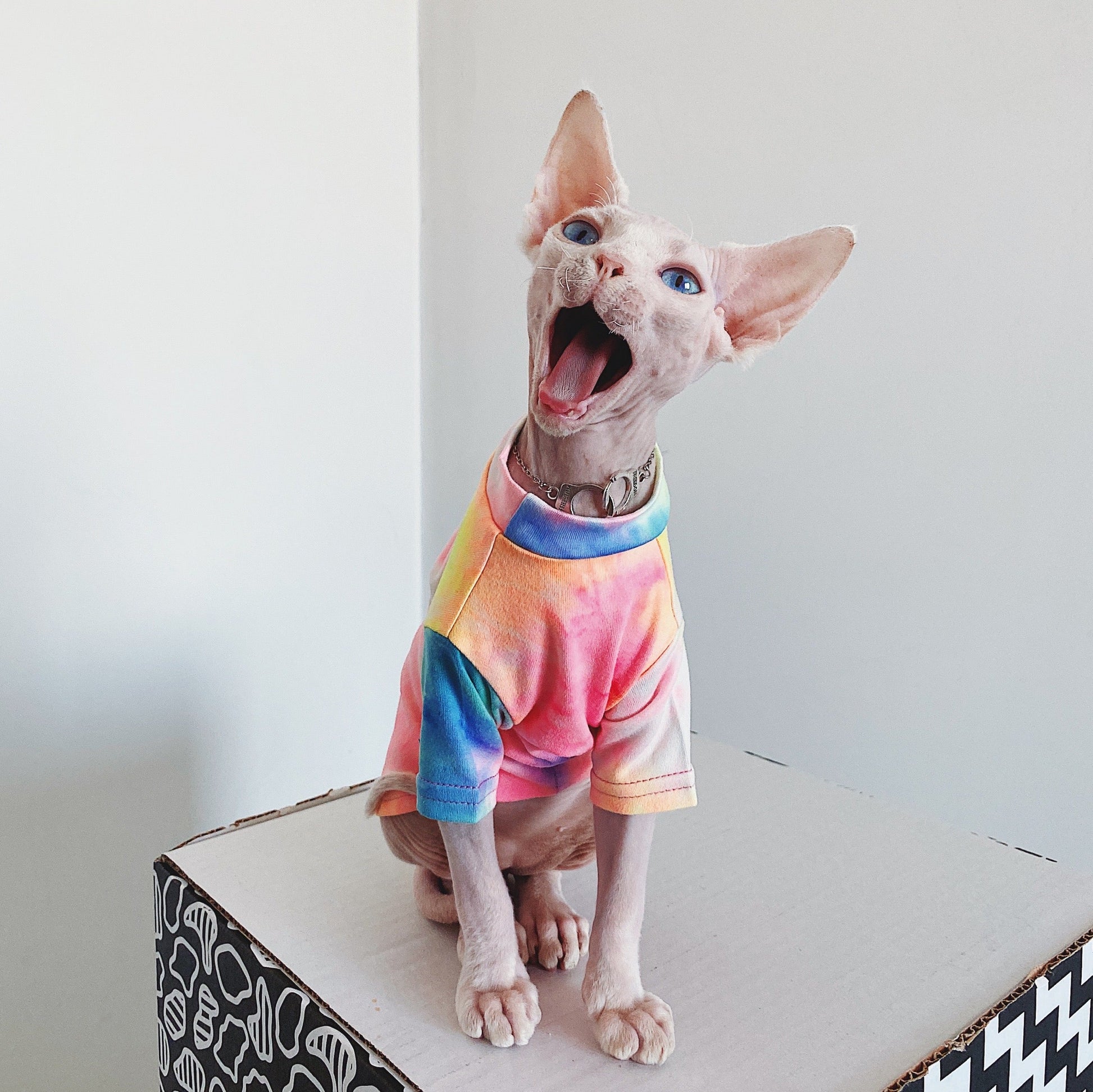 KFX-9012029 Casual Tie-Dye Rainbow Vest for Hairless Cats - Cotton Pet Clothes