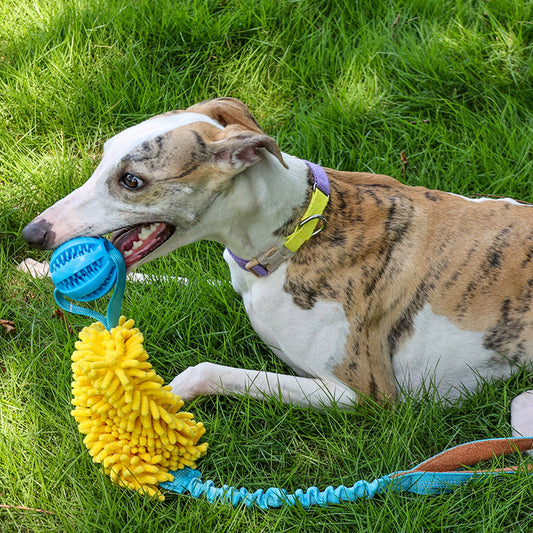 KFX-9014845 Interactive Bite-Resistant Cord Teether Pet Toy - Tug-of-War Design in Green, Orange, and Blue