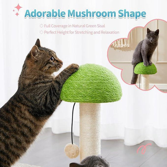KFX-9017661 Interactive 2-in-1 Cat Scratching Post with Sisal Rope and Track Ball Toy
